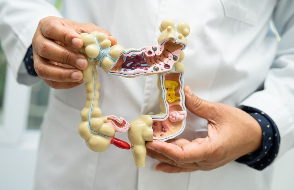 Salud intestinal e inflamación