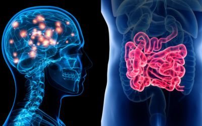 Conexión intestino cerebro, el segundo cerebro